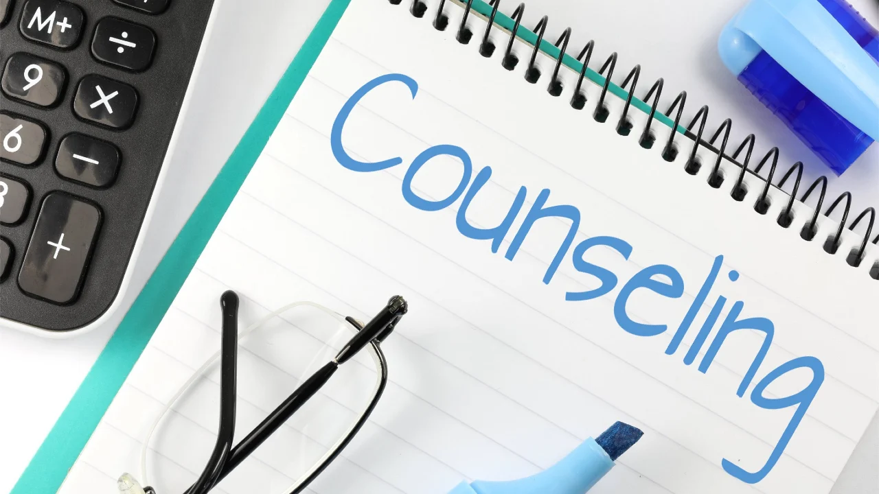 What is Counselling in College